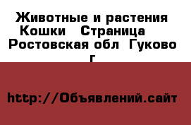 Животные и растения Кошки - Страница 7 . Ростовская обл.,Гуково г.